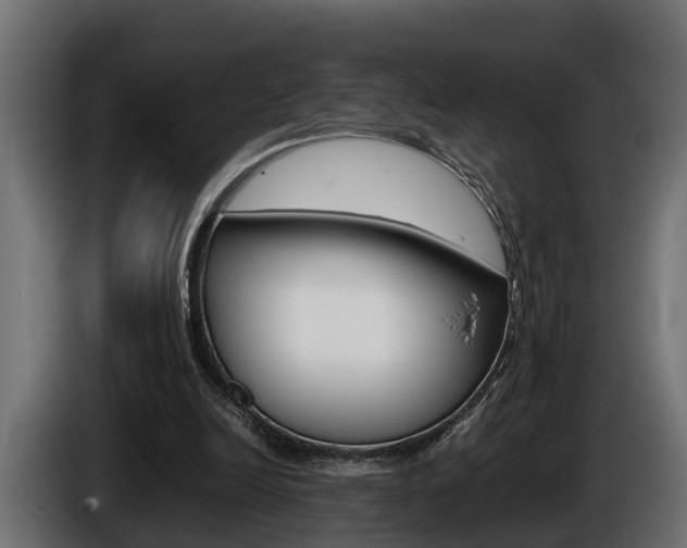 X0000086760246200704130821