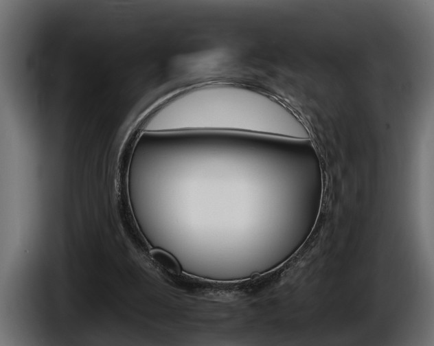X0000086760247200704130821