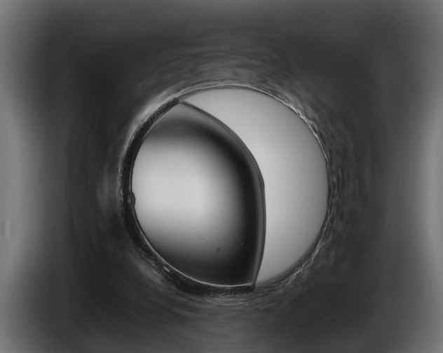 X0000086760248200704130821