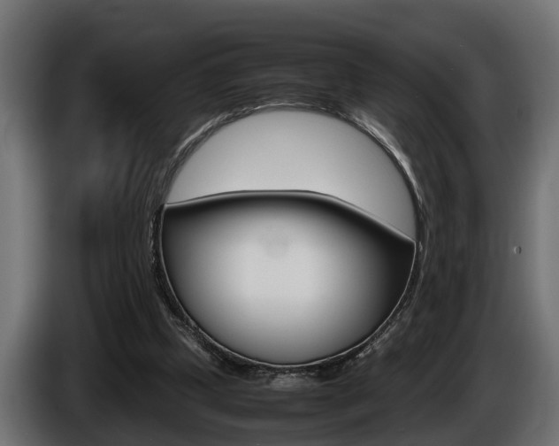 X0000086760249200704130821
