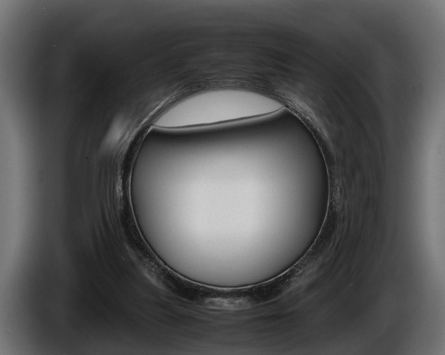 X0000086760251200704130821