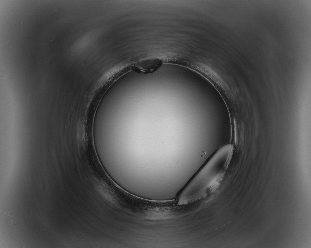 X0000086760252200704130821