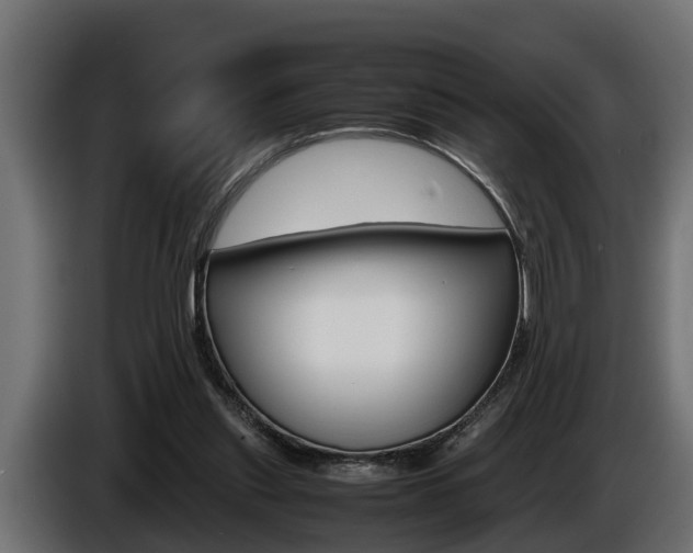 X0000086760253200704130821