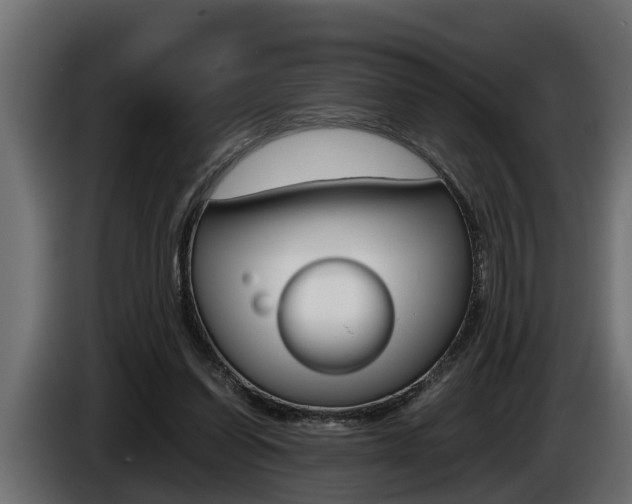 X0000086760254200704130821