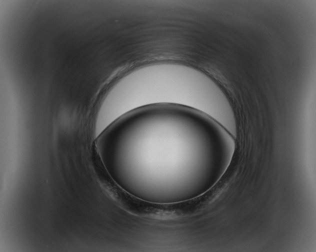 X0000086760256200704130821