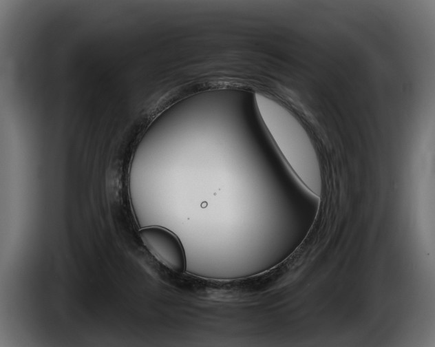 X0000086760259200704130821