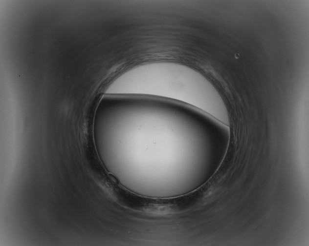X0000086760260200704130821