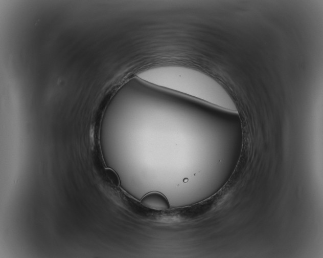 X0000086760262200704130821