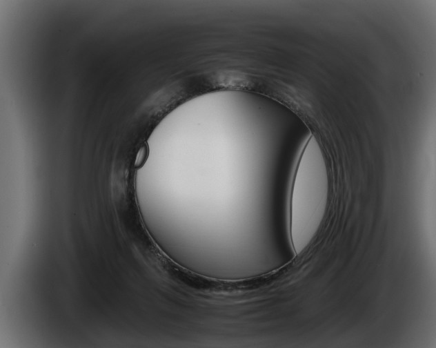 X0000086760263200704130821