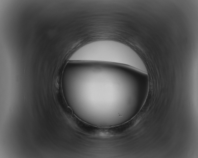 X0000086760264200704130821
