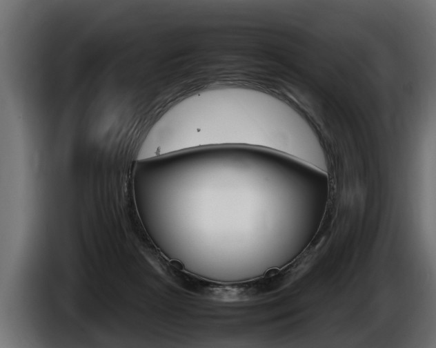X0000086760265200704130821