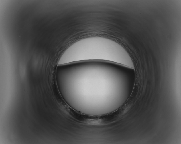 X0000086760266200704130821