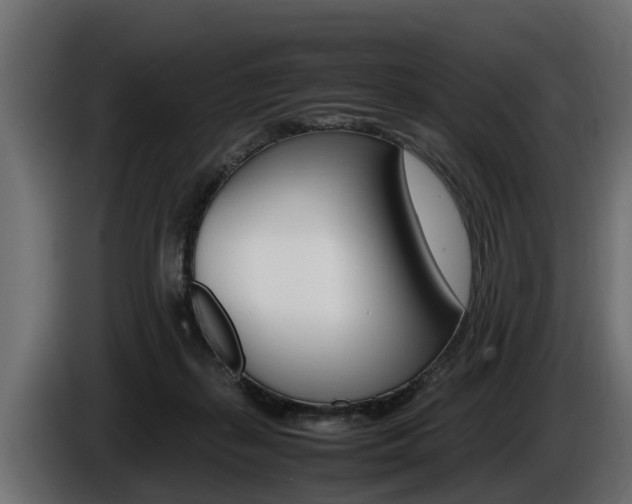 X0000086760267200704130821