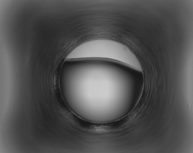 X0000086760268200704130821