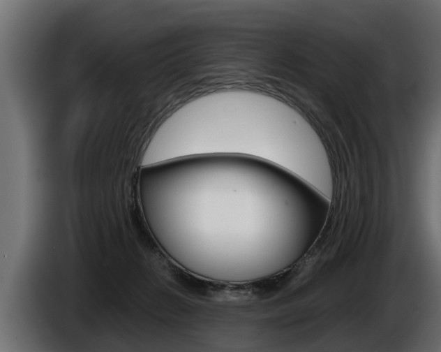 X0000086760270200704130821