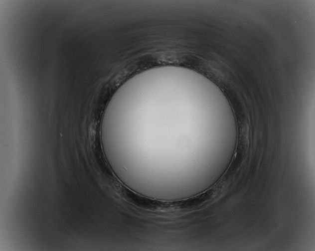 X0000086760271200704130821