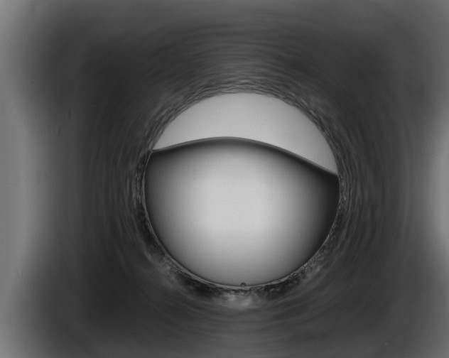 X0000086760272200704130821