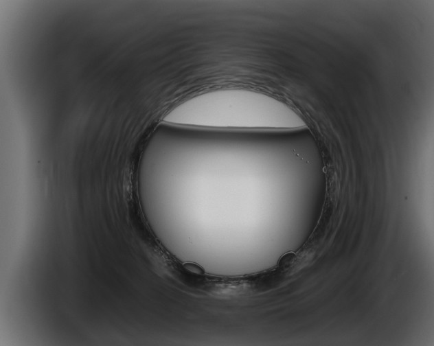 X0000086760274200704130821