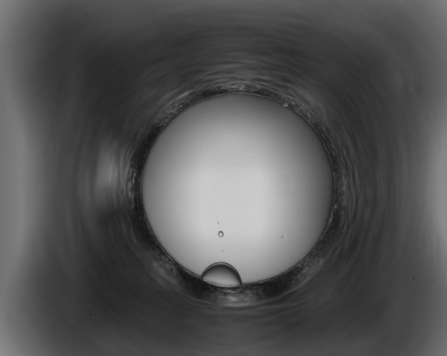 X0000086760275200704130821