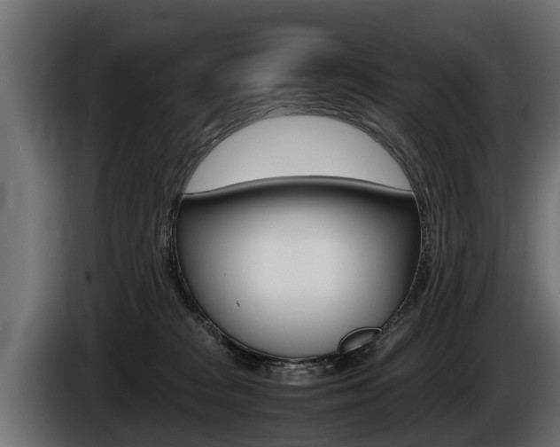X0000086760277200704130821