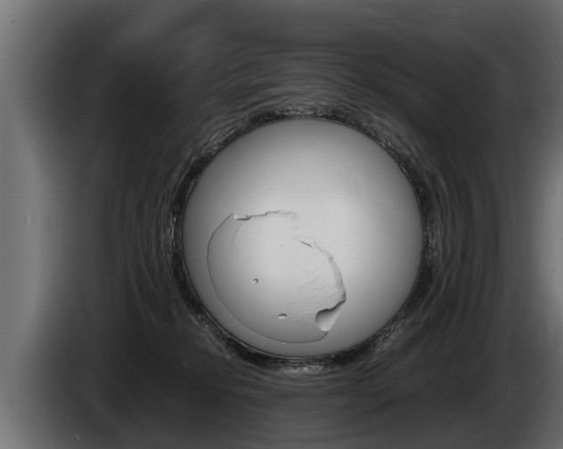X0000086760278200704130821