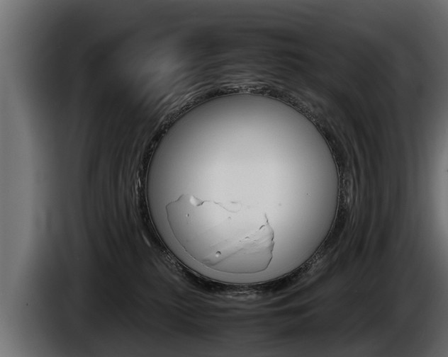 X0000086760279200704130821