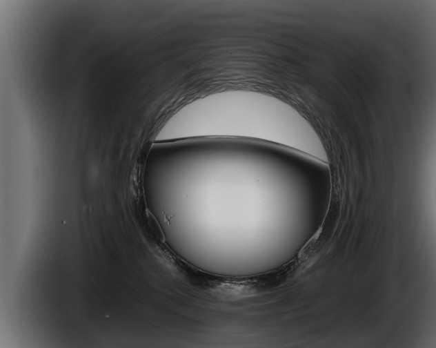 X0000086760280200704130821