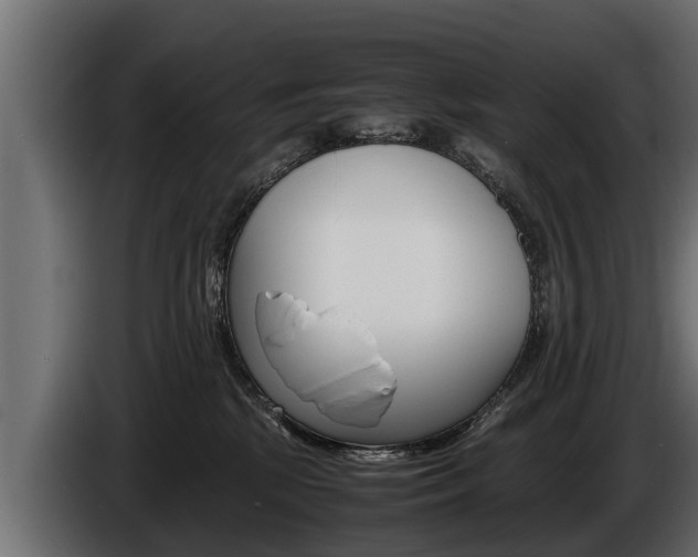 X0000086760281200704130821