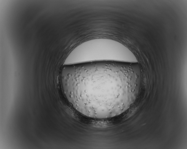 X0000086760282200704130821