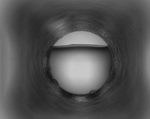 X0000086760283200704130821