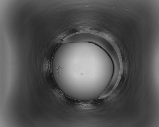 X0000086760284200704130821