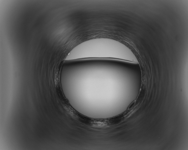 X0000086760285200704130821