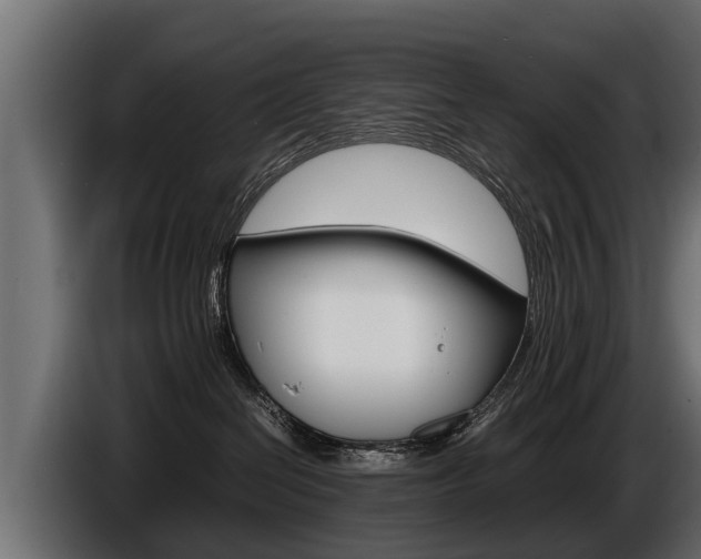 X0000086760286200704130821