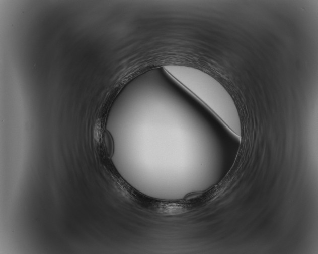X0000086760287200704130821