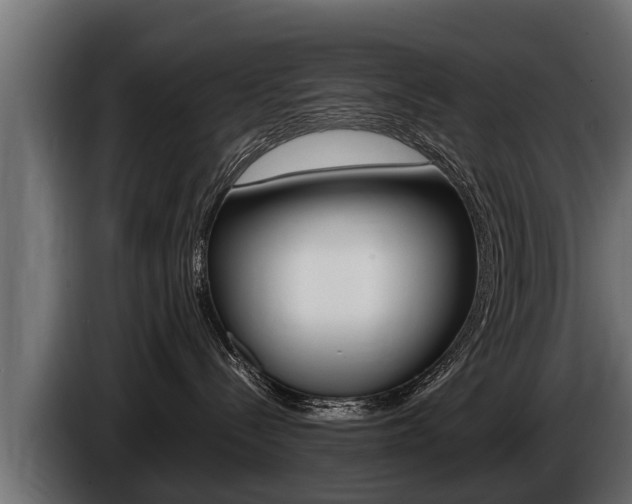 X0000086760288200704130821