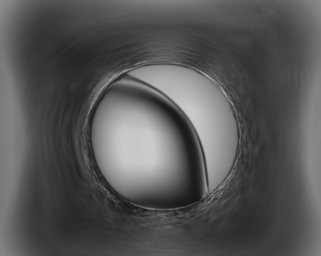 X0000086760289200704130820