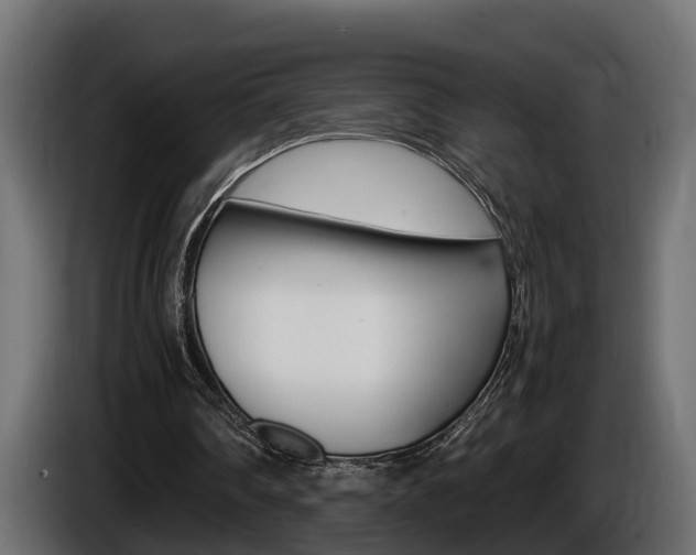X0000086760290200704130820