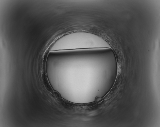 X0000086760291200704130820