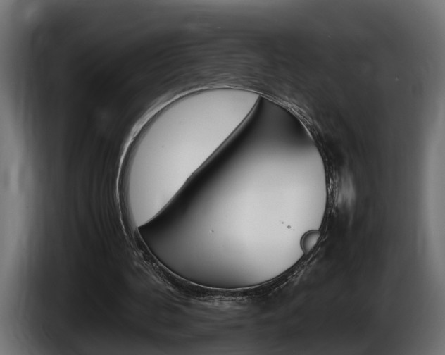 X0000086760292200704130820