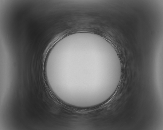 X0000086760293200704130820