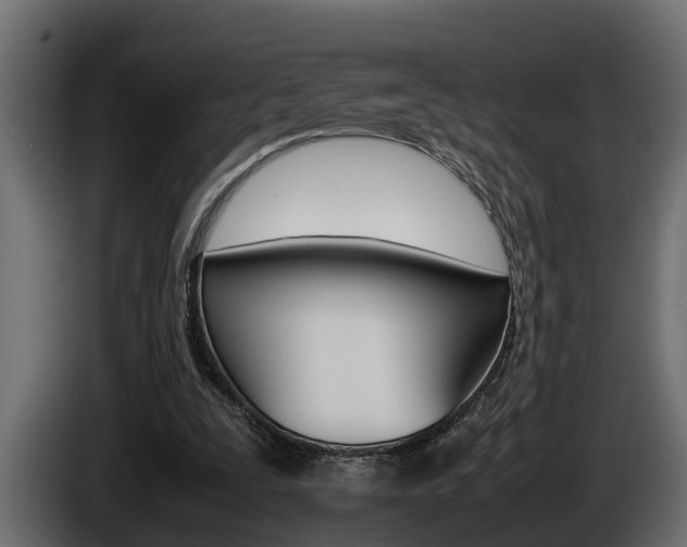 X0000086760295200704130820