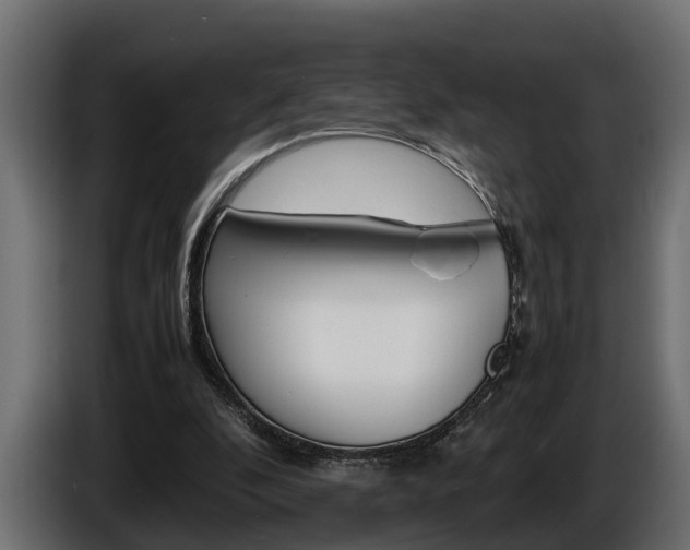 X0000086760296200704130820