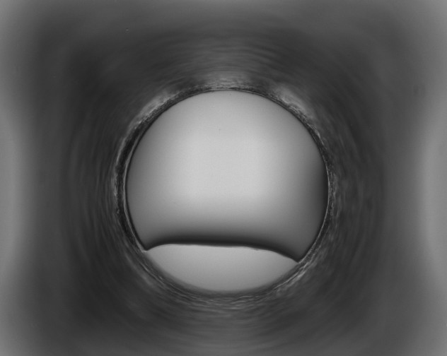 X0000086760298200704130820