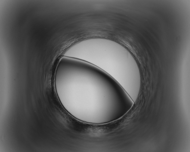 X0000086760299200704130820