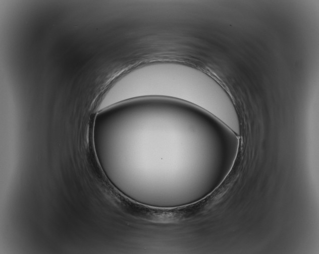 X0000086760301200704130820