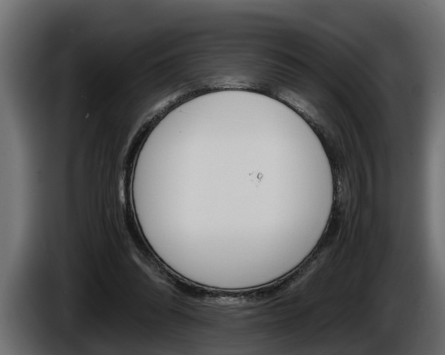X0000086760302200704130820