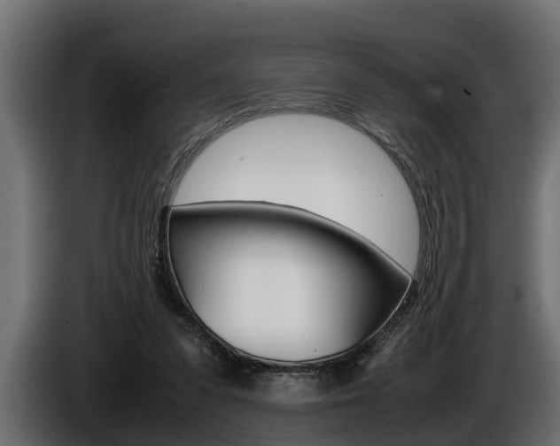 X0000086760303200704130820