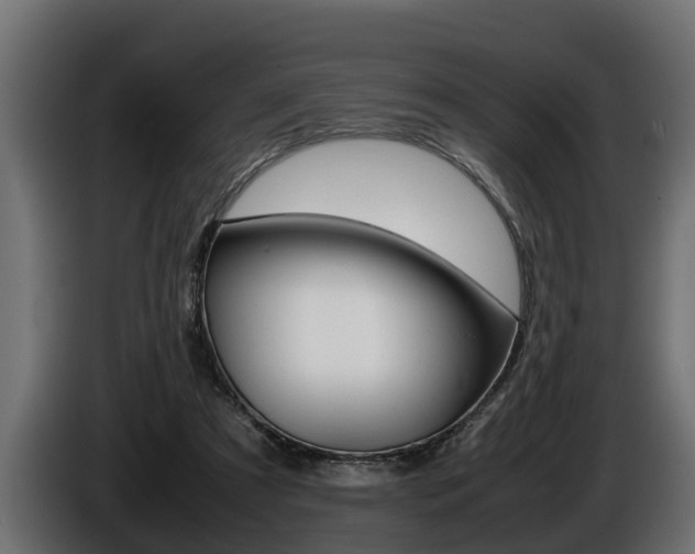 X0000086760305200704130820