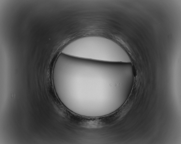 X0000086760306200704130820