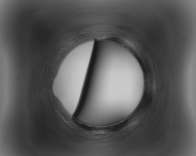 X0000086760307200704130820
